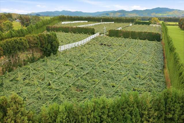 79 Woodlands Road Waihi Beach_2