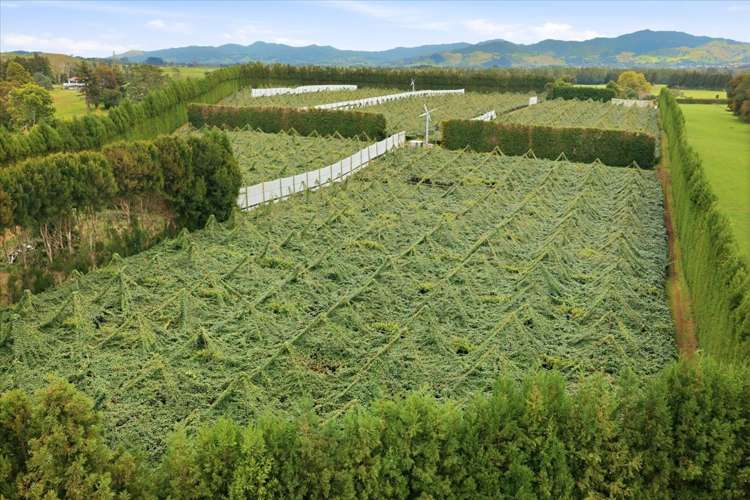 79 Woodlands Road Waihi Beach_2