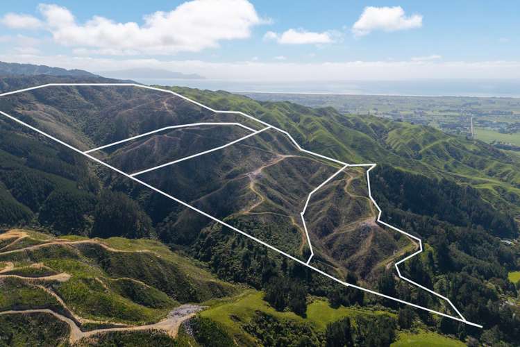 170 Mangaone North Road Te Horo_21