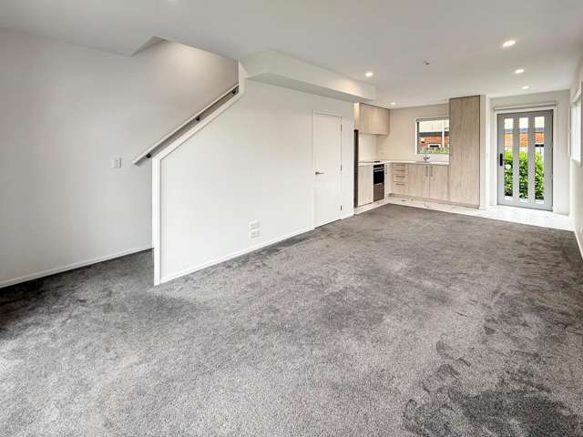 3/62 Elizabeth Street Riccarton_4