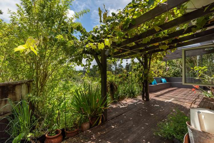 530 Dairy Flat Highway Albany Heights_11