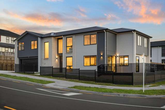 3 Tinaku Road Flat Bush_1