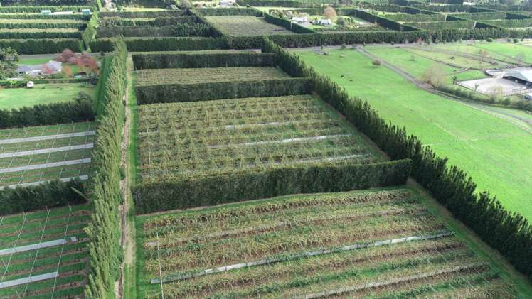 369b Kapiro Road Kerikeri_6