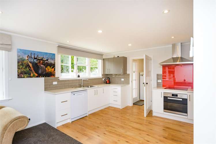 9 Bull Street Bulls_28