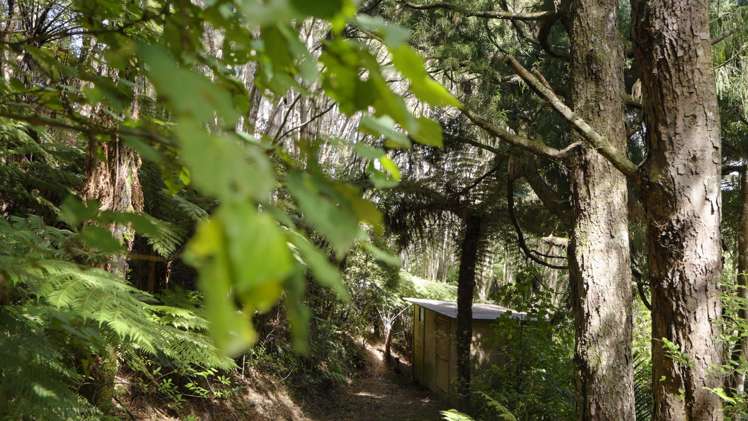 110 Waipa Heights Road Ngaruawahia_22