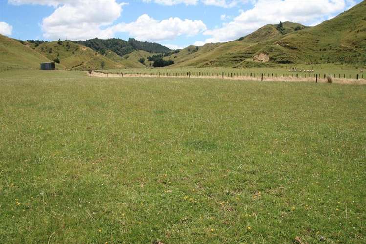 Walter Road Douglas_8