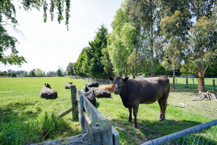 20 Cross Road Winton_27