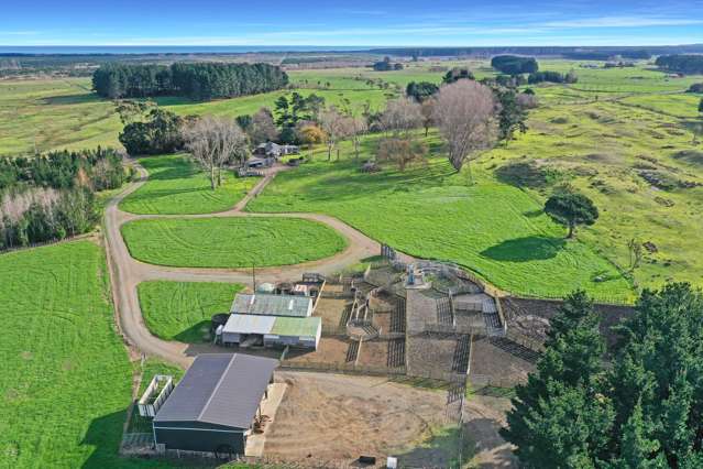 200 Beamish Road Bulls_3