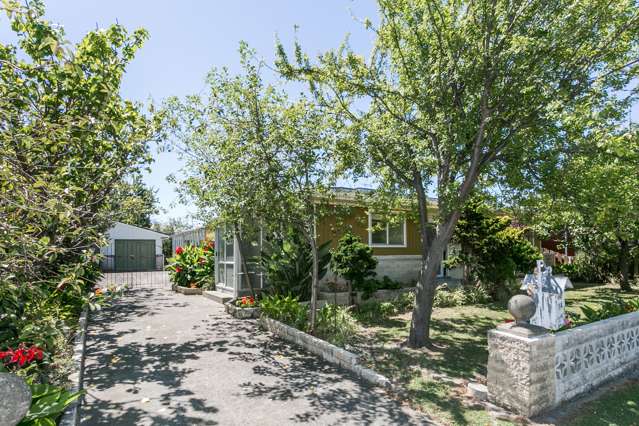 14 Lyttelton Crescent Tamatea_1