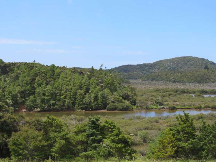 Pataua North Road Pataua_26