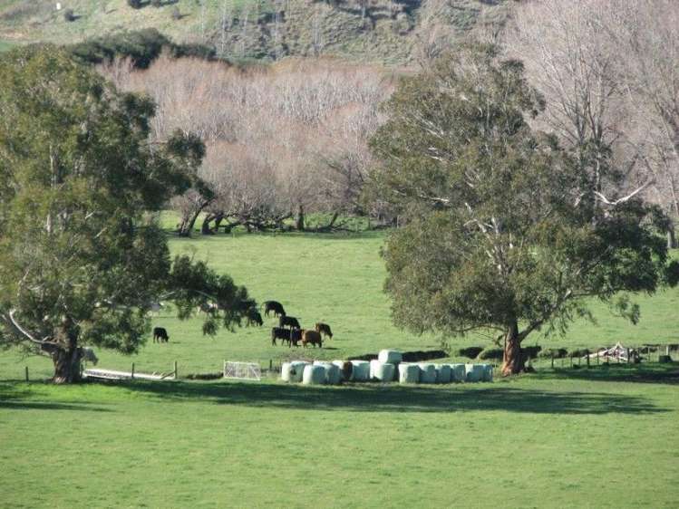 171 Hinakura Road Martinborough_12