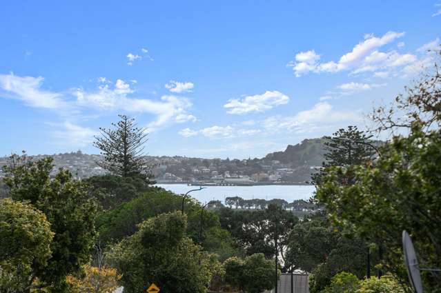 95 Arney Road Remuera_1