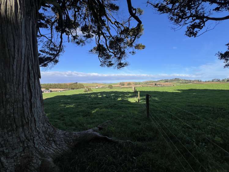 678 Waiuku Road Mauku_19