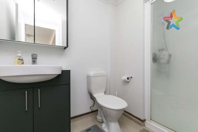 704/15 Holland Street Te Aro_4