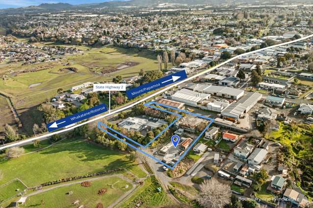 2B Jellicoe Street Te Puke_4