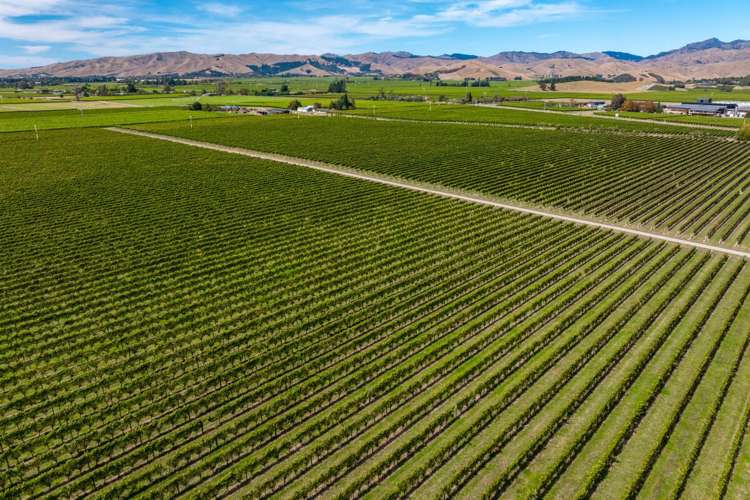 1 Wairau Plains Renwick_18