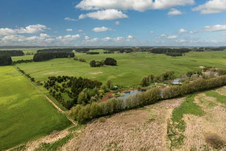 293 Beamish Road Bulls_17