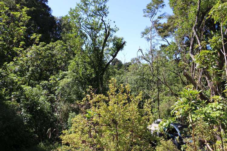 Lot 1 Lookout Road Geraldine_10