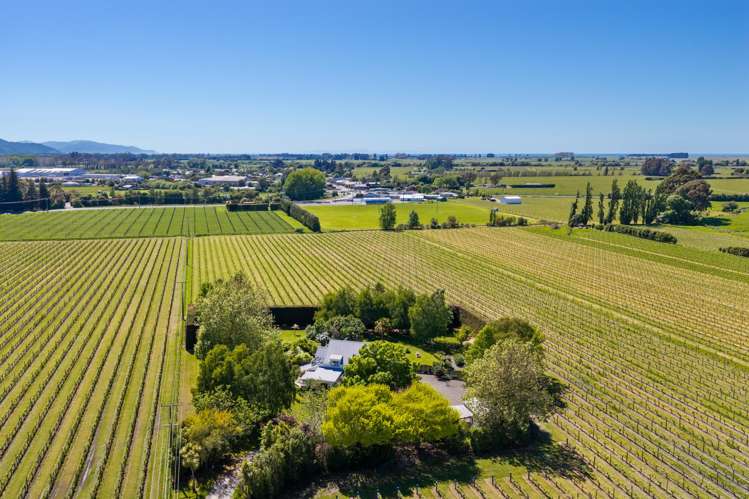 132 Murrays Road Spring Creek_3