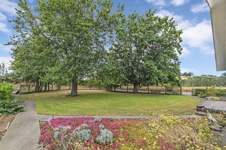 63 Ashley Road Cust_23