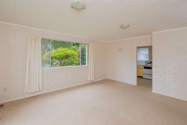 84 Elizabeth Street Waikanae_3