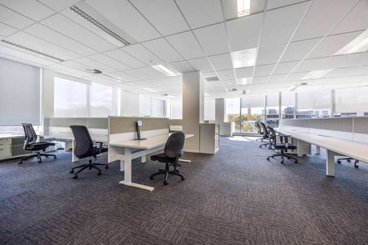 27 Napier Street Freemans Bay_17