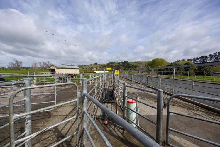 354 Kumuiti Road Fordell_15