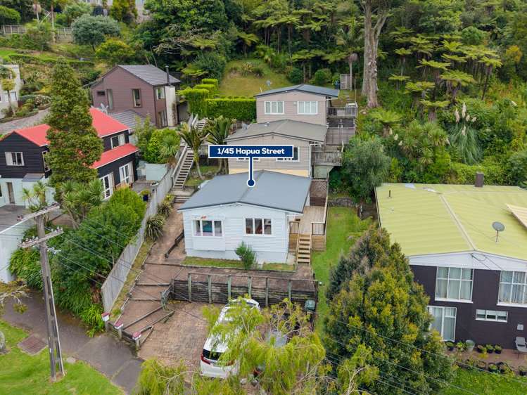 1/45 Hapua Street Remuera_1