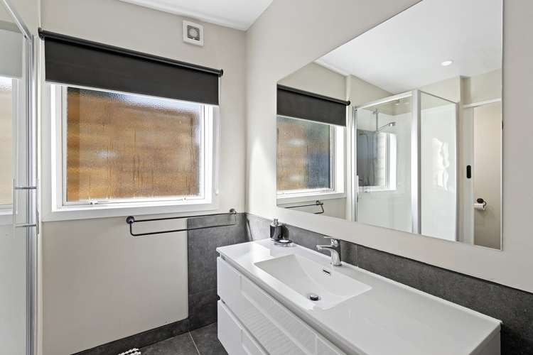 49 Rosewarne Street Spreydon_8