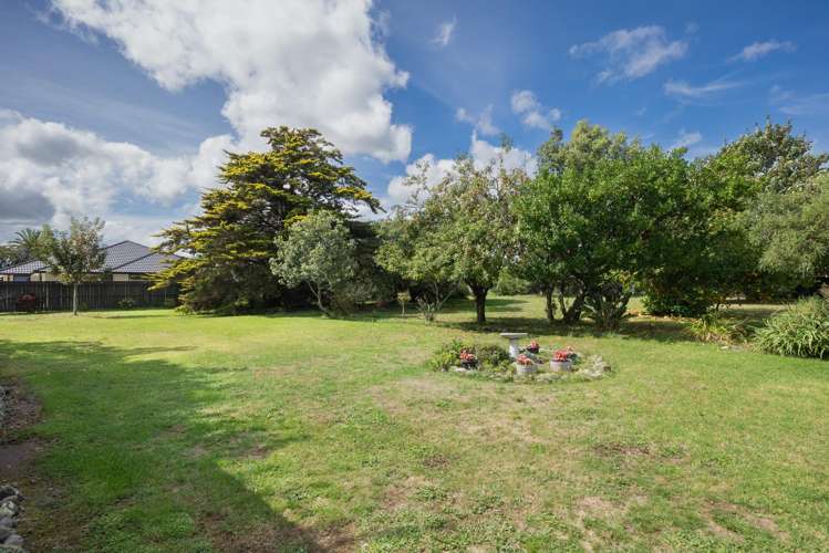 46 Keepa Street Levin_14
