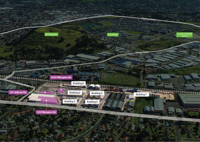 103 Jellicoe Road Panmure_1