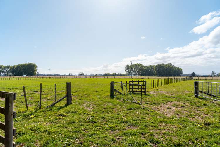 175 Papawai Road Greytown_22