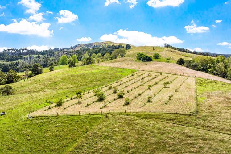 1425 Whangaripo Valley Road Whangaripo_19