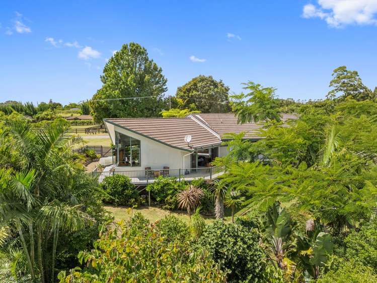 16 Limelight Lane Kerikeri_4