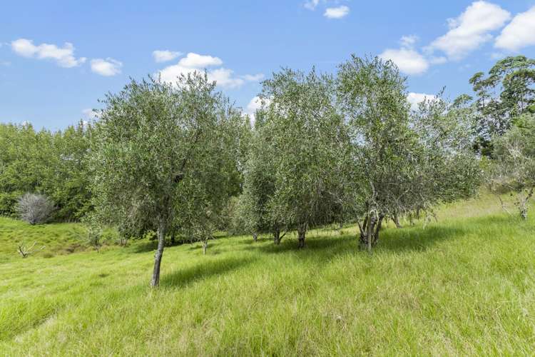 97d Tara Road Mangawhai_16