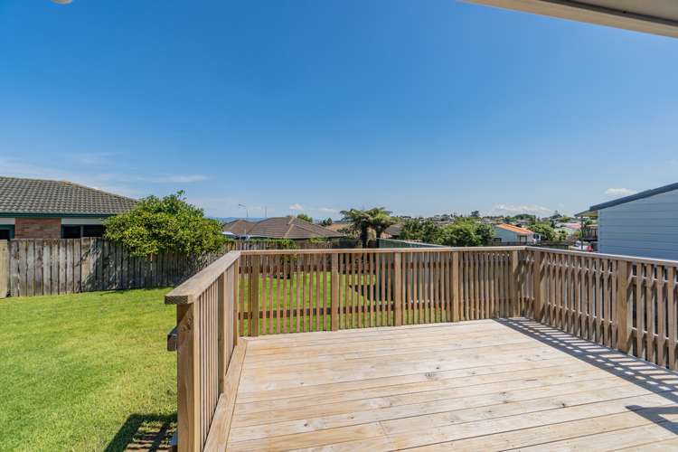 205b Finlayson Avenue Clendon Park_13