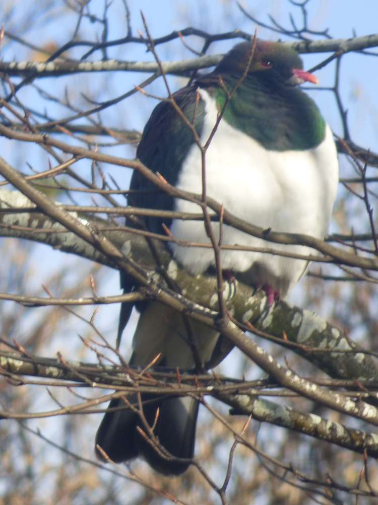 3 Bay Road Riverton_23