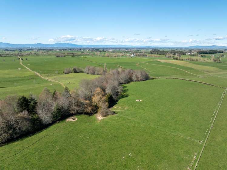 97 Herbert Road Morrinsville_19