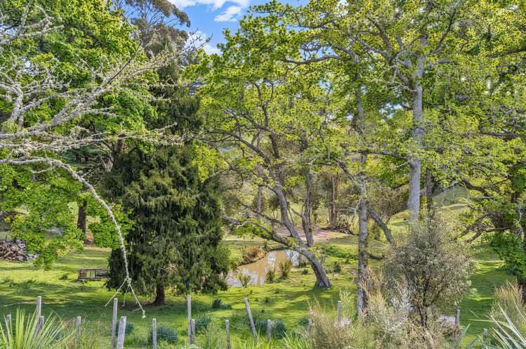 34 Middleton Road Hunua_39