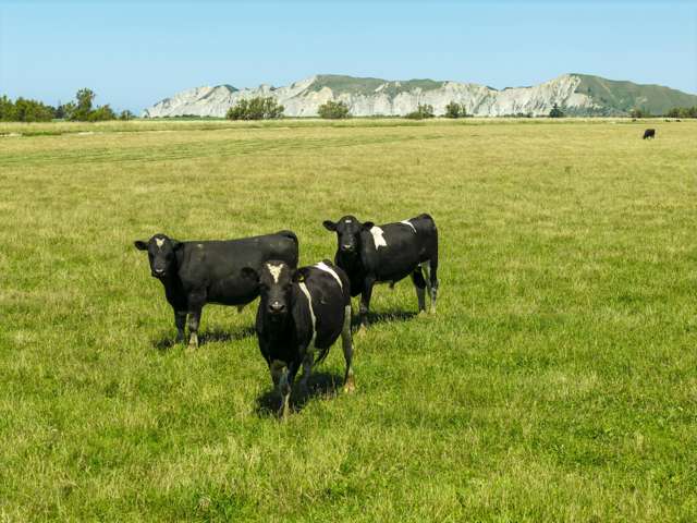 1343 Wharerata Road Muriwai_2