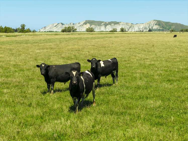 1343 Wharerata Road Muriwai_2