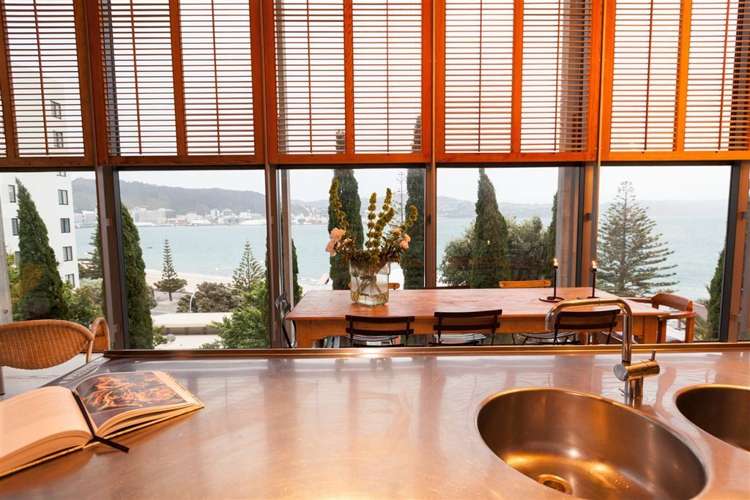 224 Oriental Parade Oriental Bay_13