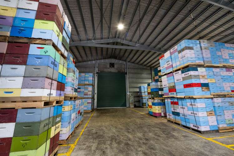 2206 State Highway 10 Kerikeri_20