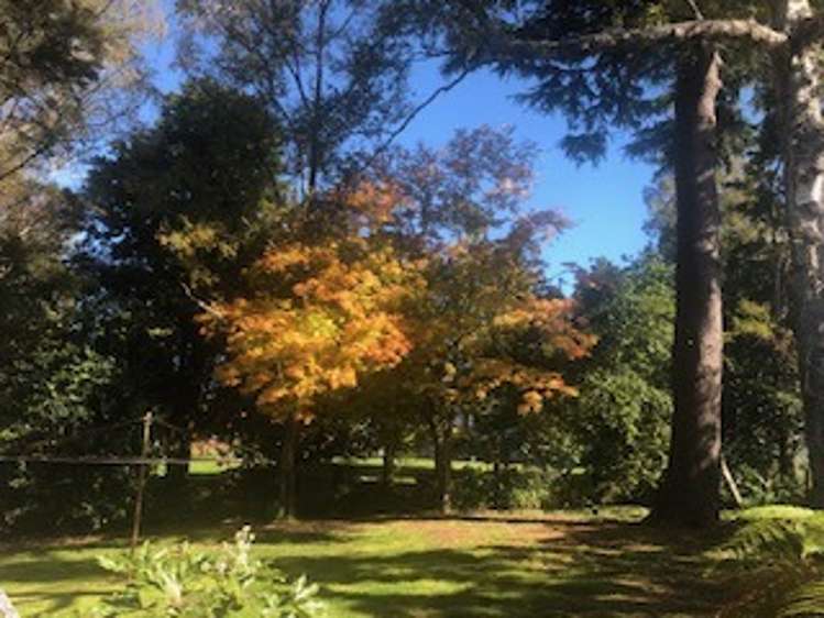 403 Old Taupo Rd 1147_8