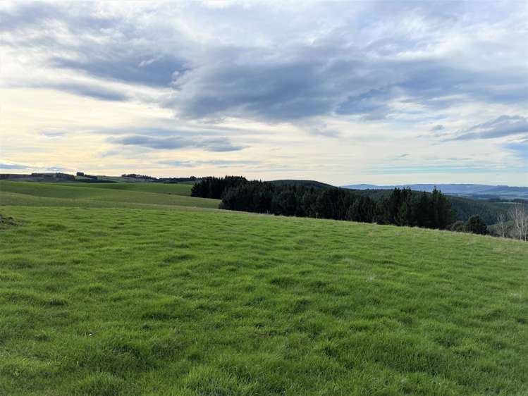 318 Hillend Road Balclutha_5