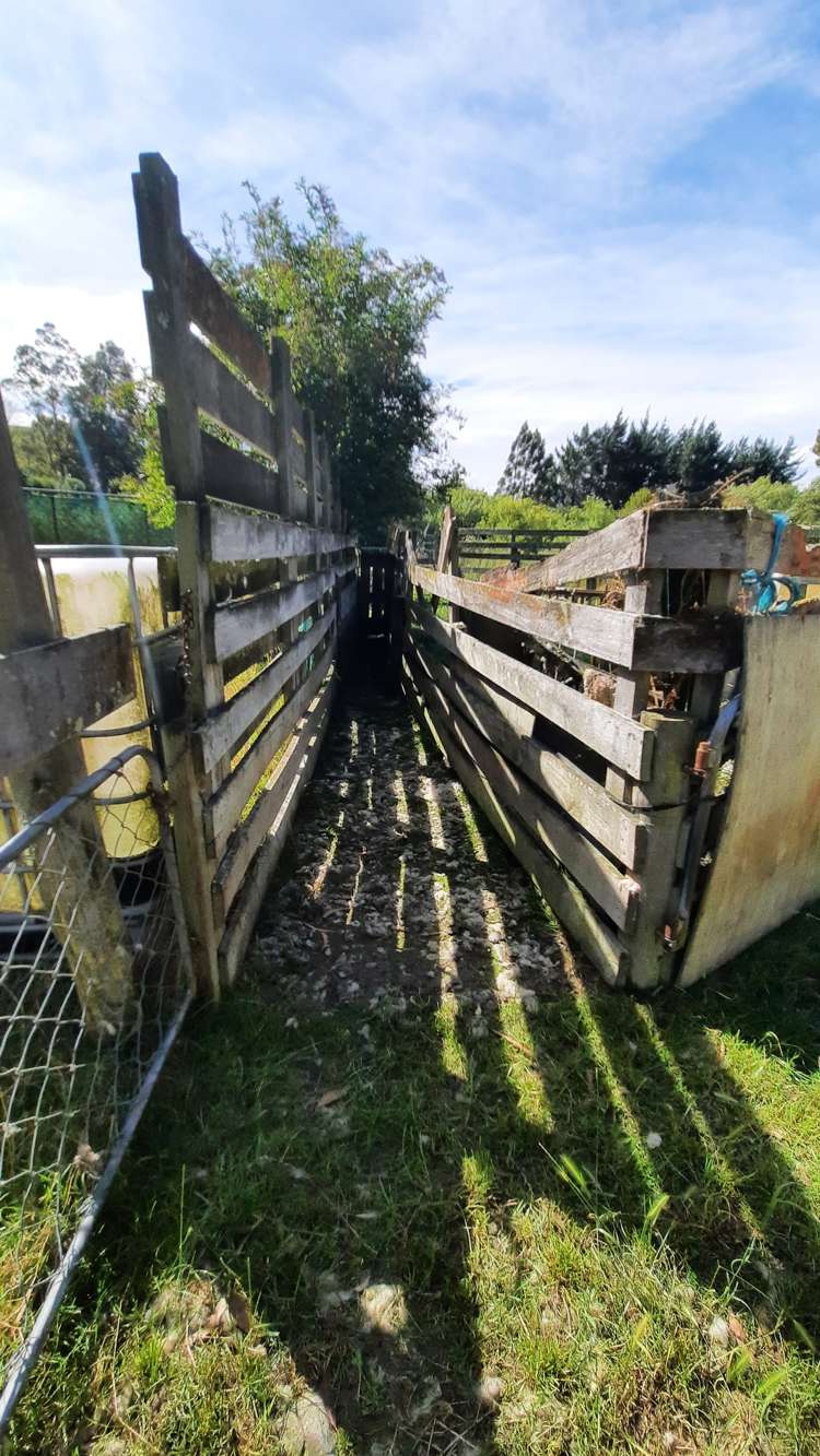 746 Clutha River Road Rongahere_43