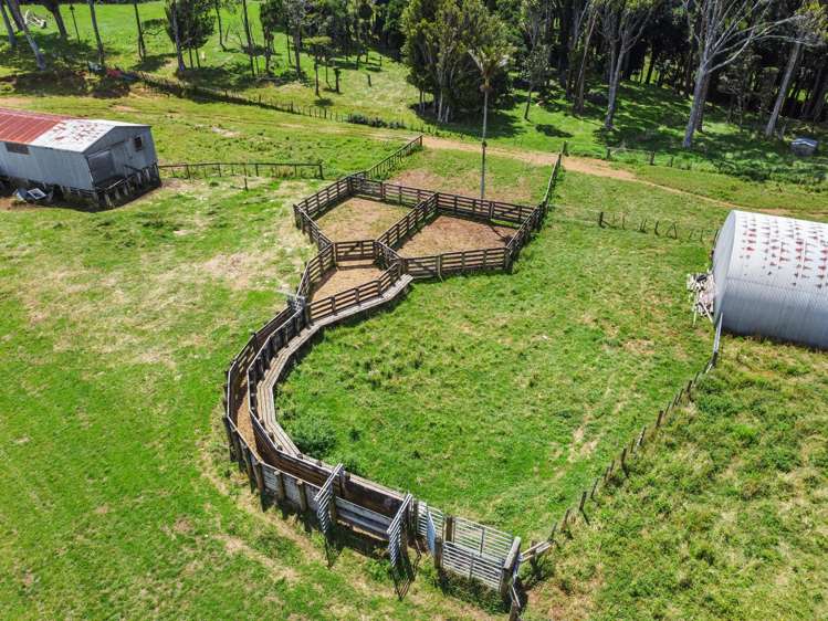 870 Mangati Road Pirongia_26