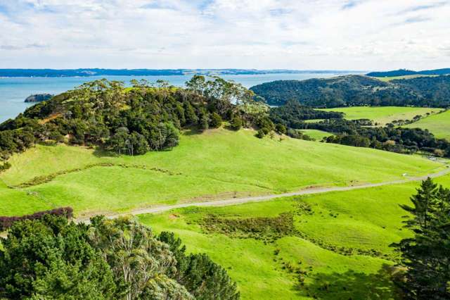 1188e Tinopai Road Tinopai_2