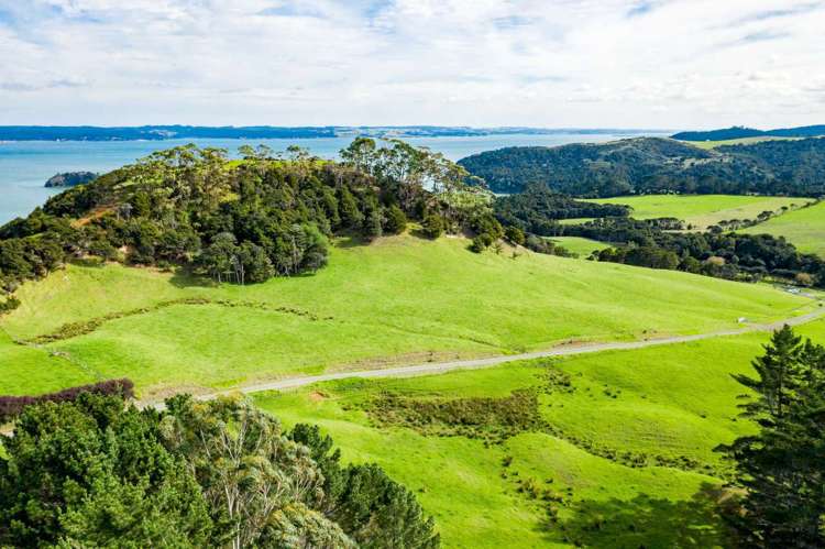 1188e Tinopai Road Tinopai_2