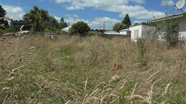 3 Turnor Street Eketahuna_4